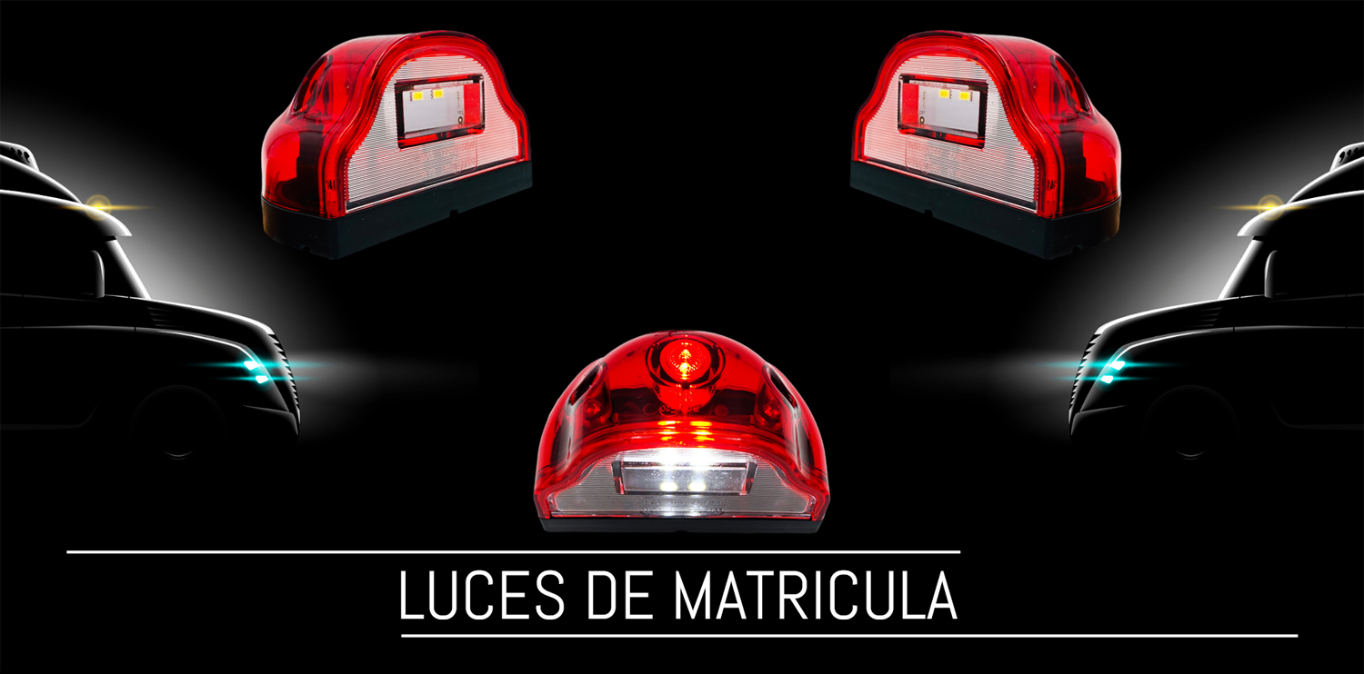 Luz Matricula 